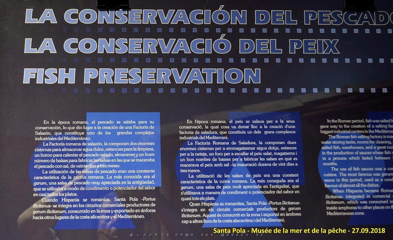 35 SANTA POLA - MUSEE DE LA MER ET DE LA PECHE (182).JPG